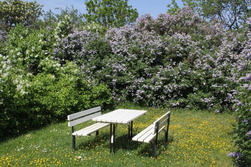 dos bancos y una mesa en un campo con flores en Klockaregården i Högsrum, en Högsrum