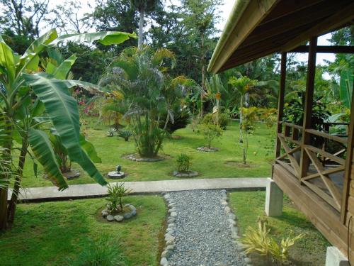 a garden with many plants and a pathway at J and H Garden Cabinas in Bocas del Toro