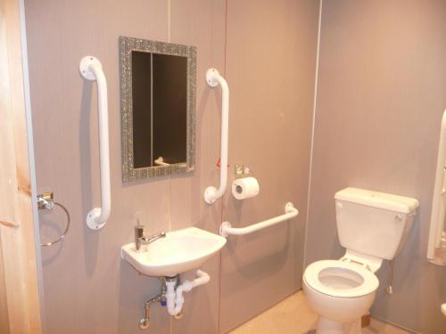 a bathroom with a toilet and a sink at Noble Lands in Wooler
