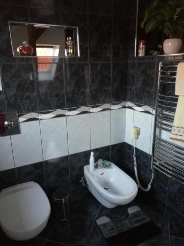 a bathroom with a toilet and a sink at Homestay Svatá in Svatá
