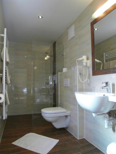 a bathroom with a toilet and a sink and a shower at Apart Landhaus Heim in Mayrhofen