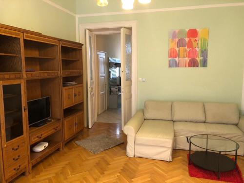 a living room with a couch and a tv at Summer place in Budapest