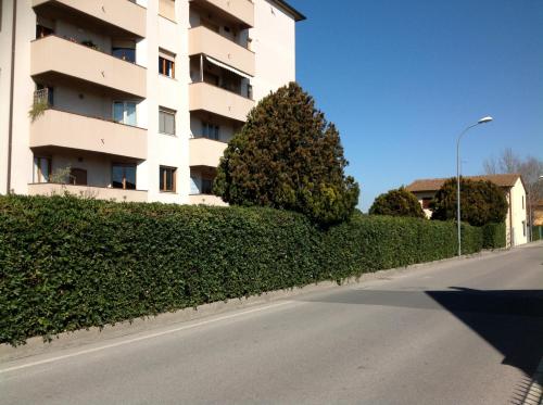Cisanello House – Photos 3