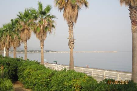 a row of palm trees next to a beach at Ambra di mare in SantʼAgata di Militello