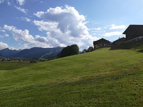 a green field with a house on top of it at Bauernhof Unterbichl in Flachau