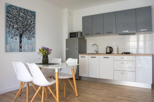 Kuchyň nebo kuchyňský kout v ubytování Apartments Melody