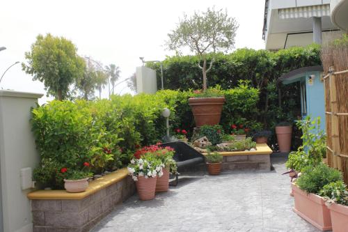 a garden with pots of flowers and plants at Residenza Alpaluba in Vasto