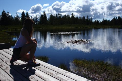 a woman sitting on a dock looking at a lake at Apartmajsko naselje Ribniško Pohorje in Ribnica na Pohorju