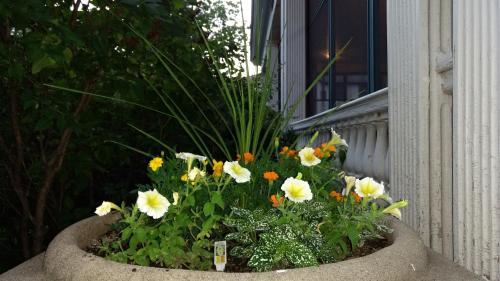 a flower pot with flowers in it next to a window at Alexander Mansion Bed & Breakfast in Winona