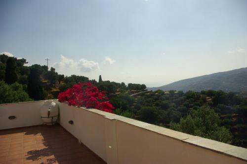 a balcony with a red flower on top of it at Green Oasis in Lámira