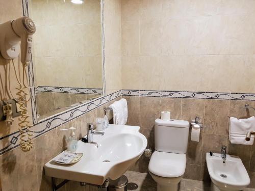 a bathroom with a sink and a toilet and a mirror at Hotel Reina Isabel in Medina del Campo