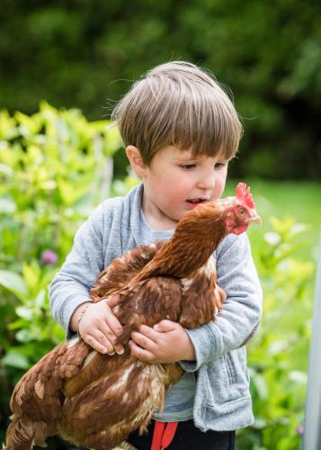 a young boy holding a chicken in his arms at Bachmannhof in Feldthurns