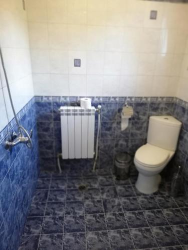 a bathroom with a toilet and a blue tiled floor at Guest House Bojana in Troyan