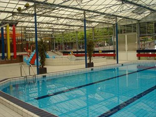 Het zwembad bij of vlak bij Chalet Vakantie Wageningen Veluwe