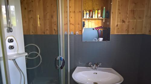 a bathroom with a sink and a shower at Skogheim Two-Bedroom Cottage in Birkeland