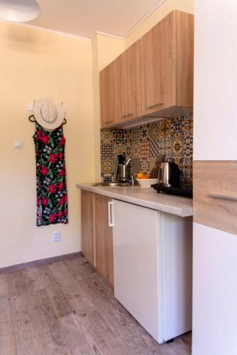 Dapur atau dapur kecil di Apartamenty Przystań