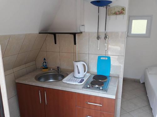Η κουζίνα ή μικρή κουζίνα στο Apartments and Bungalows Mimoza Baošići