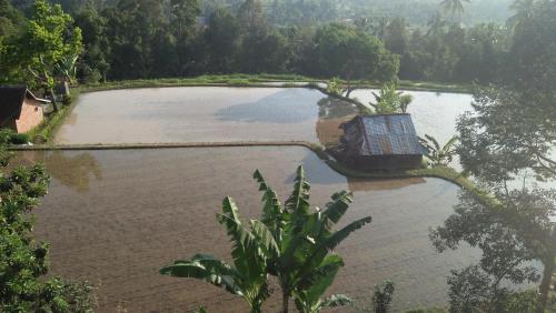 a large body of water with a boat in it at Mandhasativa Homestay in Singaraja