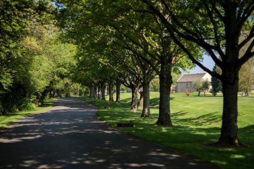 a tree lined road with a house in the distance at Bicester Hotel, Golf & Spa in Bicester