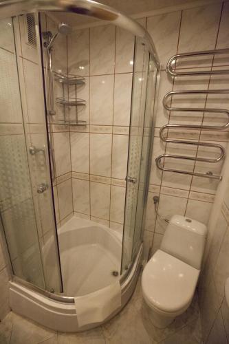 un bagno con doccia e WC di Žvejo namas a Nida