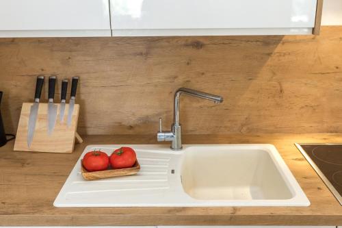 a kitchen sink with two apples on it at Villa Kaliope in Brgulje