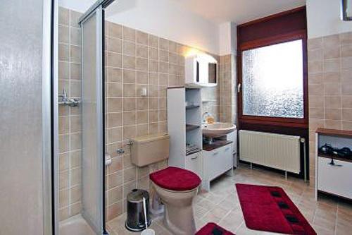 ein Bad mit einem WC, einer Dusche und einem Waschbecken in der Unterkunft Haus Nordbrise in Holtgast