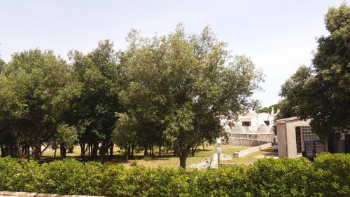 Foto dalla galleria di La Volpina a Martina Franca