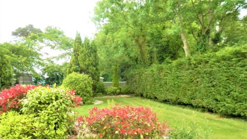 a garden with many bushes and flowers and trees at Leabrook House in Castlemaine