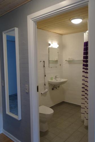 uma casa de banho com um WC e um lavatório em Agervig Bed & Breakfast em Næsbjerg