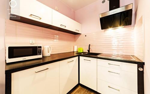Η κουζίνα ή μικρή κουζίνα στο Wonder Home - Apartamenty z balkonami Leśny Dom II - w cichej i zielonej części Karpacza