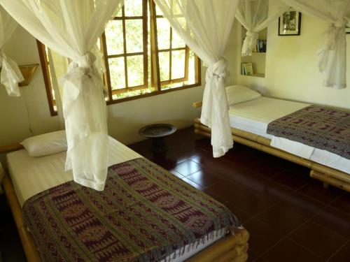 a bedroom with two beds and two windows at Bali Sandat in Tejakula