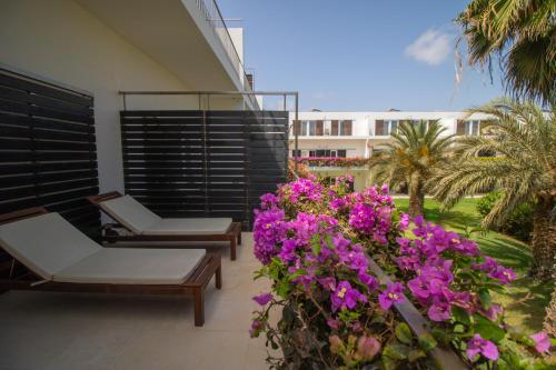 Jardin de l'établissement Hotel Dunas de Sal