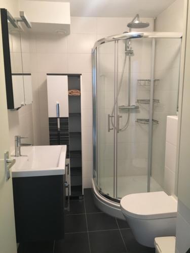 ホルムにあるAppartement NoorderKragt, Amelander Kaapのバスルーム(シャワー、洗面台、トイレ付)