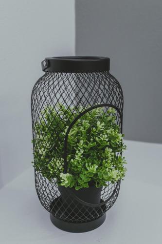 a black flower pot with a plant in it at Hotel Papagalos in Neos Marmaras