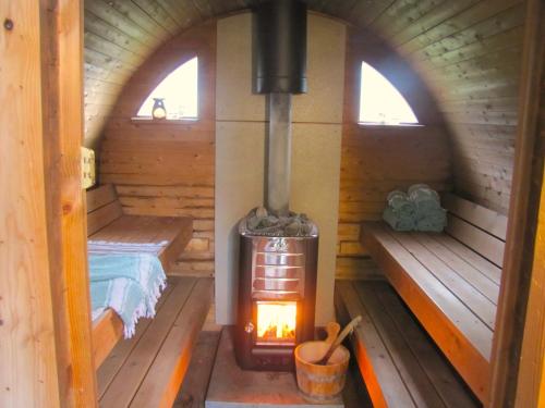 einen Holzofen in einer Hütte mit zwei Fenstern in der Unterkunft Het Vogelhuisje in Twijzelerheide