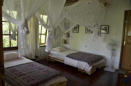 two beds in a bedroom with white drapes at Bali Sandat in Tejakula