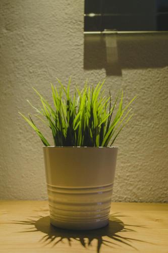 a plant in a white pot sitting on a table at Hotel Papagalos in Neos Marmaras