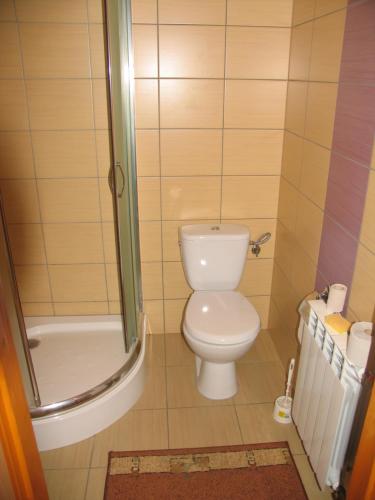 a small bathroom with a toilet and a shower at Noclegi Pod Tylką in Krościenko