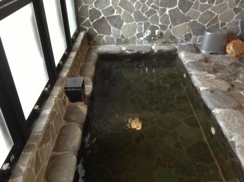 a pool of water in a room with windows at Minamiya 山とねこと遊ぶ宿 みなみ家 in Hakuba