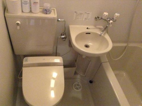 a small bathroom with a toilet and a sink at Minamiya 山とねこと遊ぶ宿 みなみ家 in Hakuba