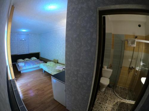a small bathroom with a toilet and a shower at Pension President in Băile Herculane