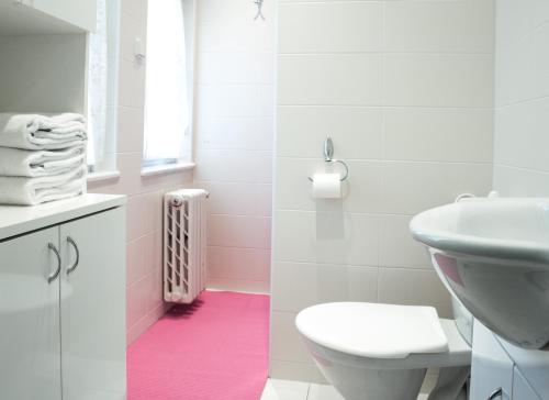 a bathroom with a toilet and a sink at Flamingo Apartments in Prague