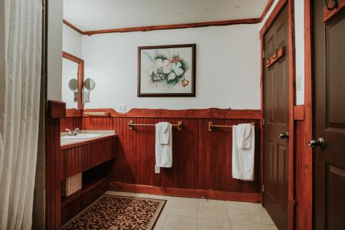 a bathroom with a sink and a mirror at Royal Laurentien in Mont-Blanc