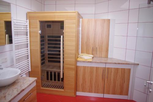 małą łazienkę z prysznicem i umywalką w obiekcie Penthaus Appartement w mieście Sankt Michael im Lungau