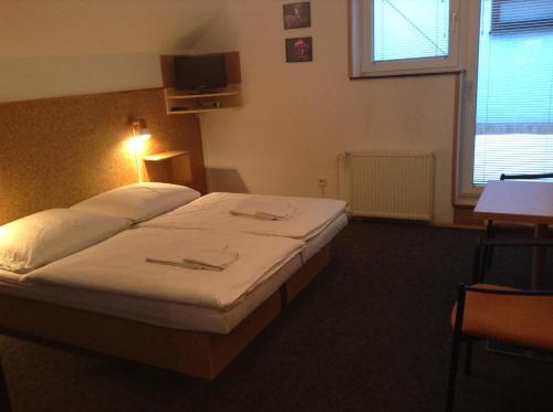 Gallery image of Penzion Globus in Český Krumlov