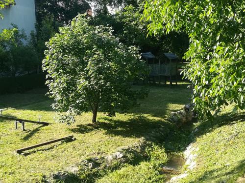 a tree sitting in the middle of a grass field at Apartman "Vienna" in Soko Banja