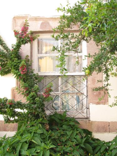 Κήπος έξω από το Eolos House Cunda