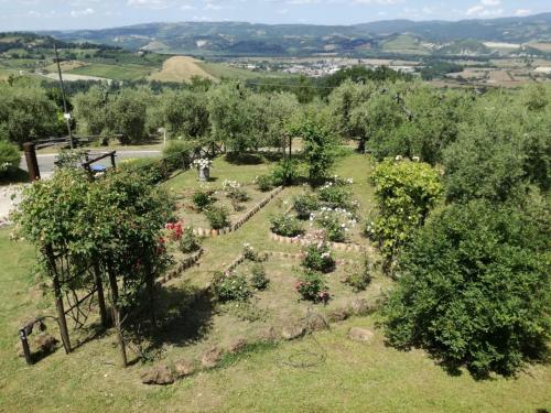 an overhead view of a garden with flowers and trees at Orvieto Rocca Fiorita in Orvieto
