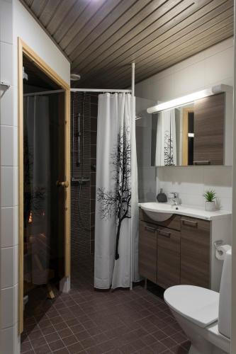 a bathroom with a shower and a toilet and a sink at Vasko luxurious suites, Nouka in Rovaniemi