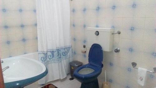 a bathroom with a blue toilet and a sink at Pensao Avenida in Caldelas